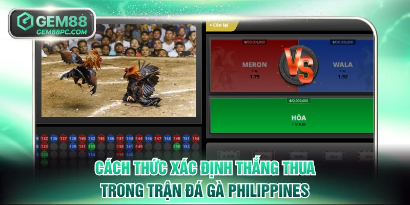 Cách thức xác định thắng thua trong trận đá gà Philippines