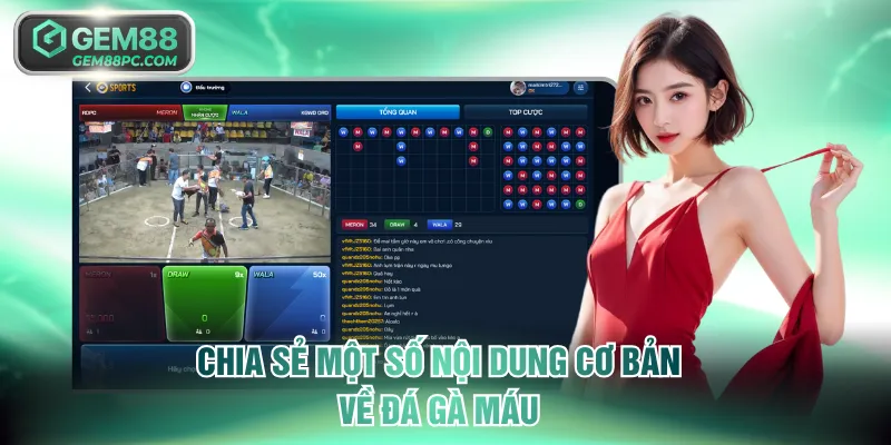 Chia sẻ một số nội dung cơ bản về đá gà máu