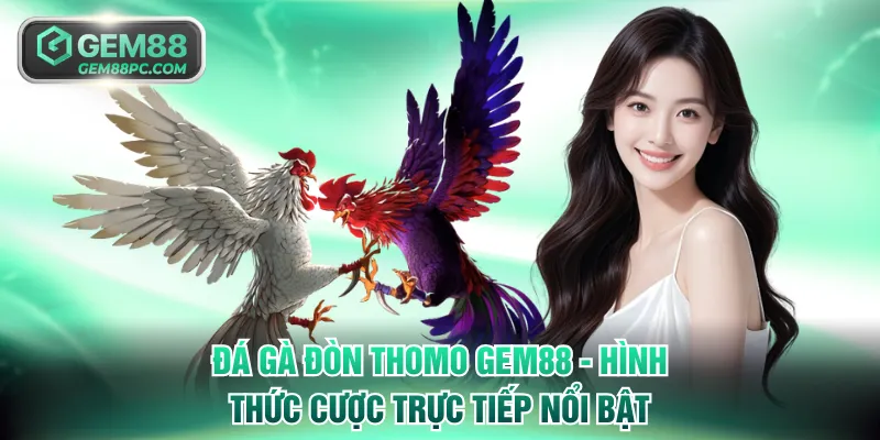 Đá gà đòn Thomo GEM88 - Hình thức cược trực tiếp nổi bật