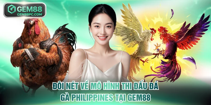 Đôi nét về mô hình thi đấu đá gà Philippines tại GEM88