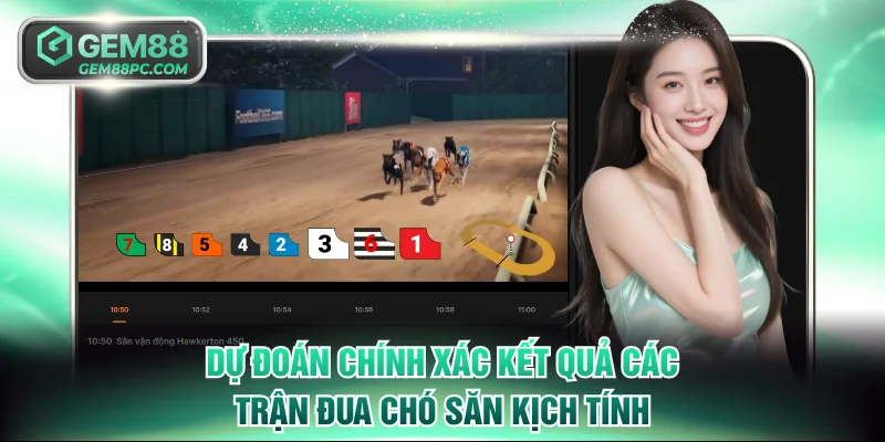 Dự đoán chính xác kết quả các trận đua chó săn kịch tính