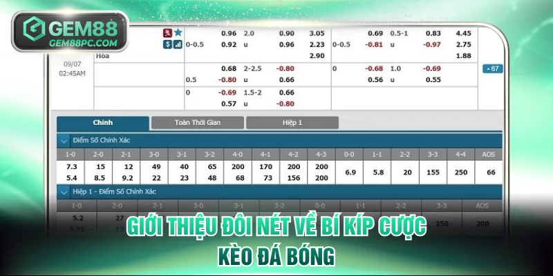 Giới thiệu đôi nét về bí kíp cược kèo đá bóng