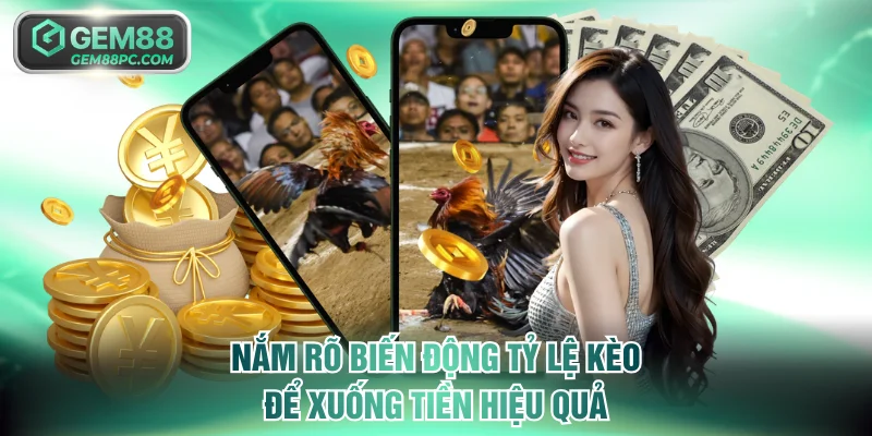 Nắm rõ biến động tỷ lệ kèo để xuống tiền hiệu quả
