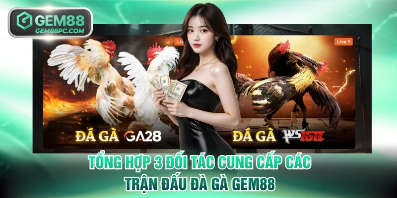 Tổng hợp 3 đối tác cung cấp các trận đấu đà gà GEM88