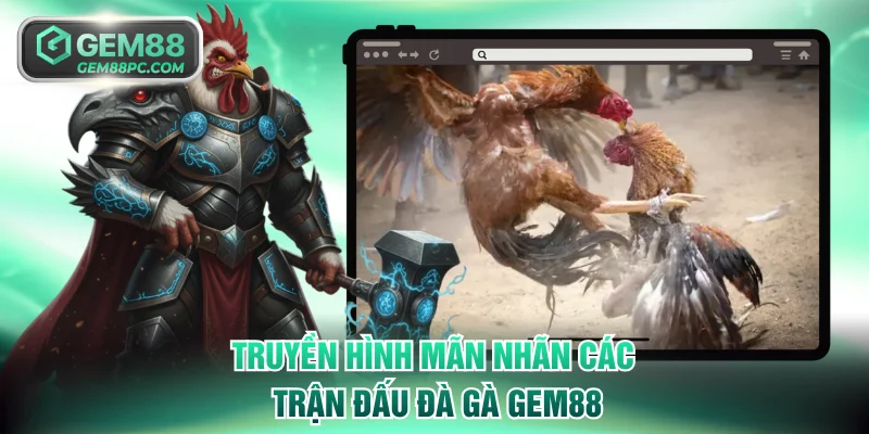 Truyền hình mãn nhãn các trận đấu đà gà GEM88